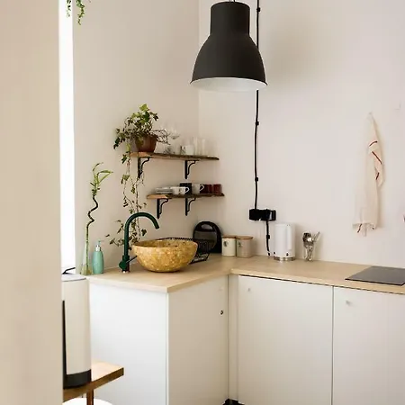 Rozany Zakatek Loft Apartment